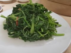 蒜蓉炒苋菜-鼎泰丰(当代商城店)