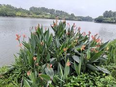 -南国桃园旅游度假区