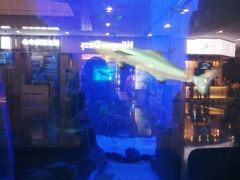 -成都浩海立方海洋公园