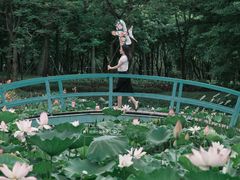 -顺峰山公园