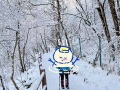-九峰山