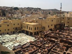 -穆莱拉赫制革厂