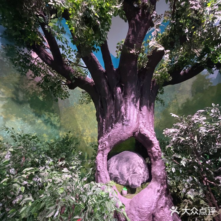 🏚となりのトトロ🪵邻家的龙猫