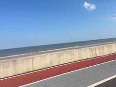 -日照海滨国家森林公园