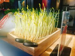 -蜀九香.正宗成都火锅(安吉店)