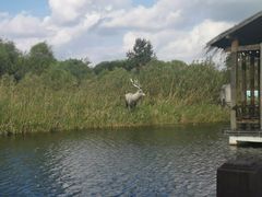 -溱湖国家湿地公园