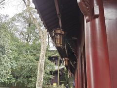 -缙云山景区