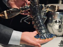 活法国蓝龙虾-Oyster Talks 四度蚝法餐厅