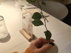 -春树下·树屋花房西餐厅(罍街AS1980店)