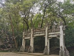 -灵谷景区