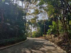 -荔枝公园-小平画像广场