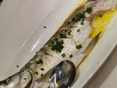 -鲁菜根·泰安菜(万达店)