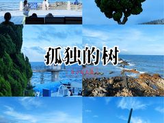 -小麦岛公园
