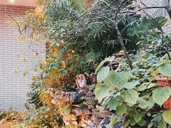 -粥旺庄(芳村店)
