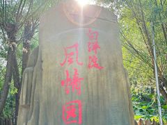 -白洋淀景区