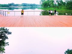 -东郊湿地公园