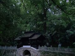 -红梅公园
