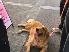 -观澜湖生态运动公社
