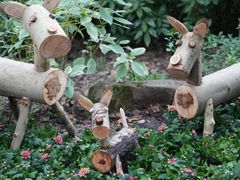 -共青国家森林公园-售票处