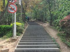 -上海佘山国家森林公园西佘山园