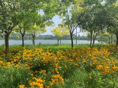 -东郊湿地公园