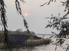 -丁香湖公园
