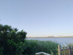 -天津东丽湖风景区