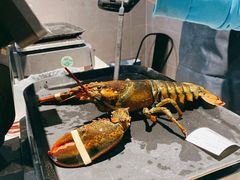 -盒马鲜生(新都心店)