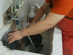 -酷狗靓猫宠物·洗护·美容·寄养(航北路店)