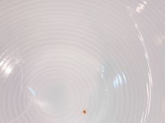 -望湘园·洞庭渔宴(永旺店)