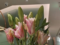 -南堂馆·新川菜(春熙路店)