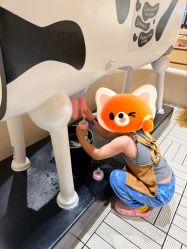 点击看大图 -奈尔宝·国风主题儿童乐园·亲子餐厅(豫园商城店)