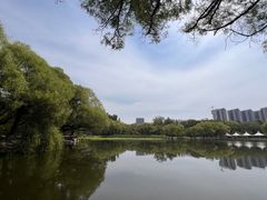 -青城公园