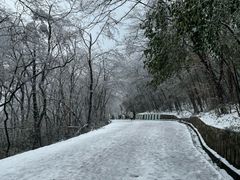 -紫金山山顶公园