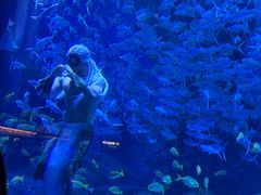 -哈尔滨波塞冬海底世界