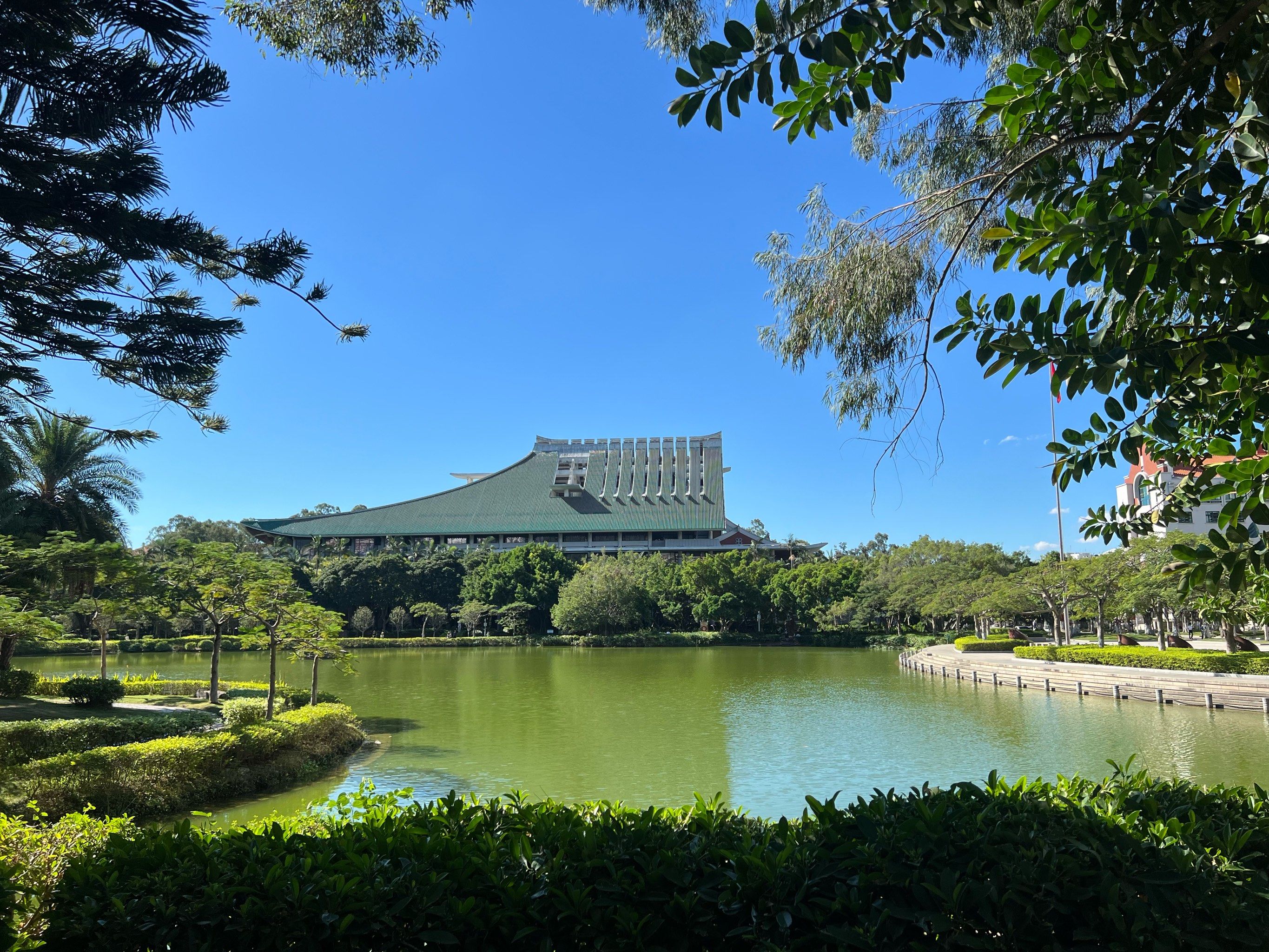 漫步厦门大学:一场知识与美景的双重邂逅