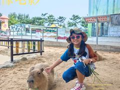 -西霞口神雕山野生动物世界