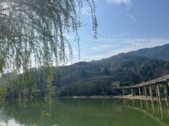 -后柳水乡