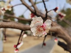 -月湖风景区
