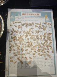 -第五极儿童乐园