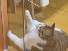-MARSMART PETS火星宠物超市(1733店)