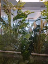 -爱瑞馨母婴护理中心(爱悠悠店)