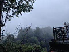 -梭布垭石林景区