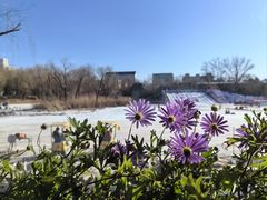 -三忘湖 SWANSEEN(柳荫公园店)