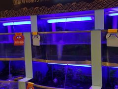 水产区-七欣天(浦东羽山乐坊店)