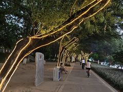 -沙澧河风景区