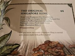 -Long Bar(莱佛士酒店)