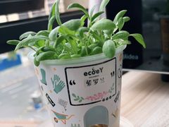 -丰茂烤串(外滩星荟中心店)