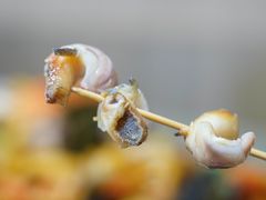 -巽寮印象美食部落餐厅·海鲜·地方特色菜(惠州体验店)