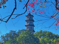 -江心屿景区